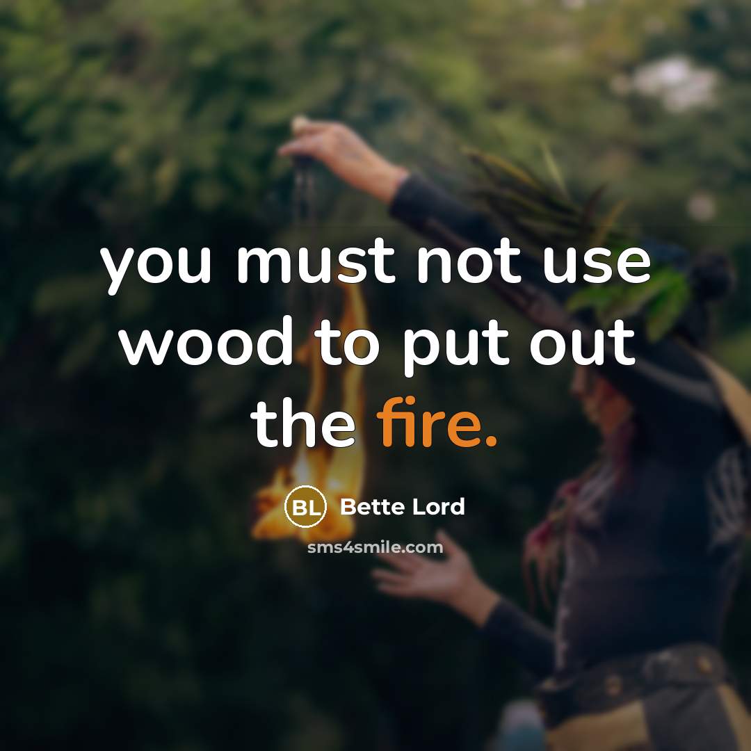 “you must not use wood to put out the fire.…” quote by Bette Lord
