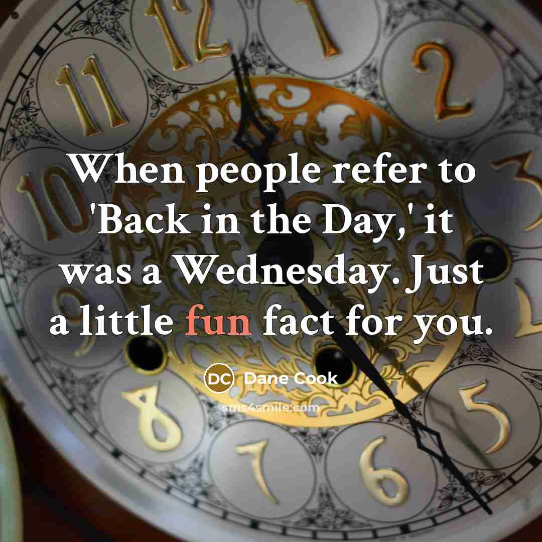 “When people refer to 'Back in the Day,' it was…” quote by Dane Cook