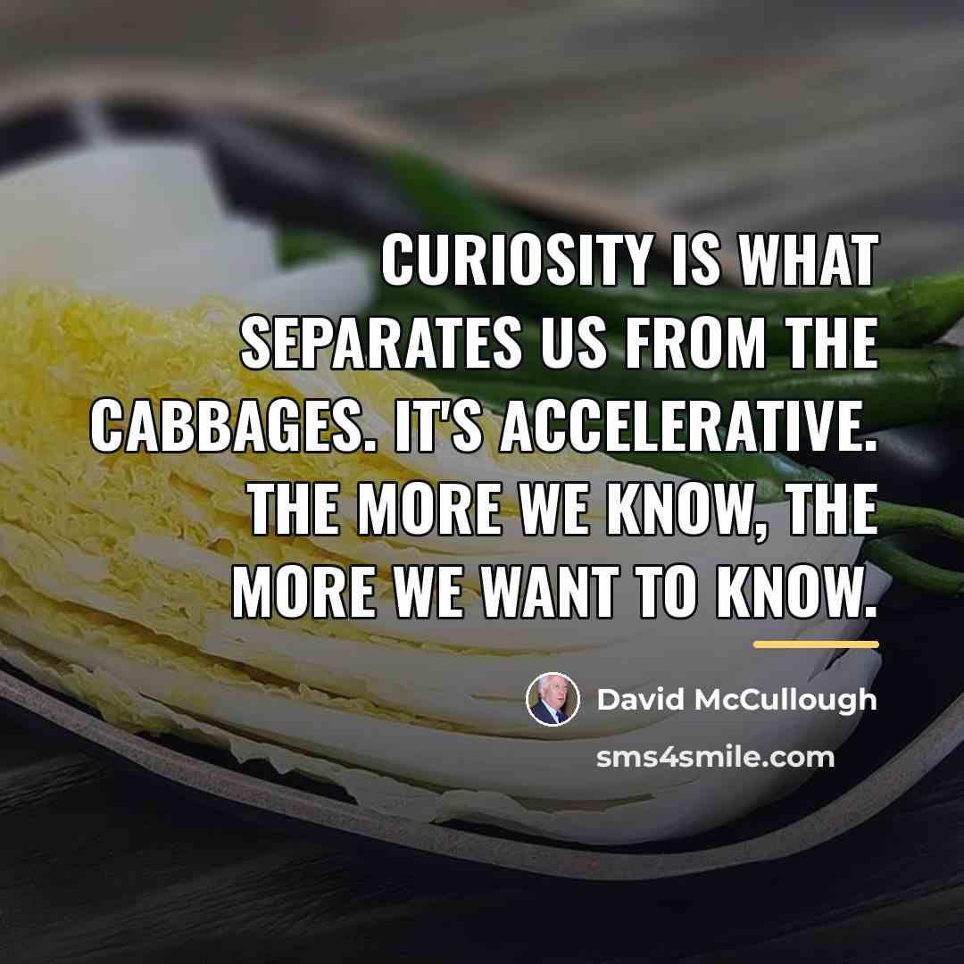 “Curiosity is what separates us from the cabbages. It's accelerative.…” quote by David McCullough