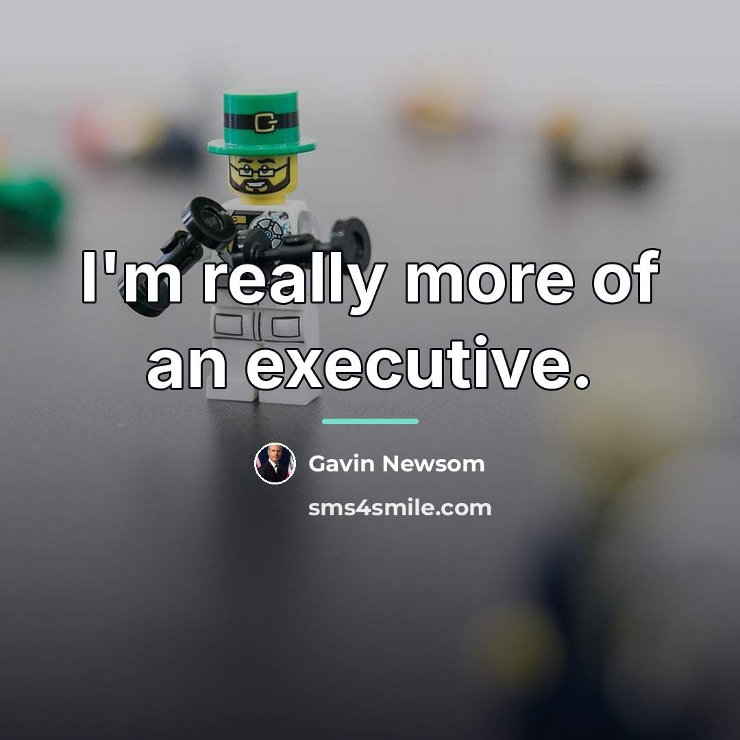 “I'm really more of an executive.…” quote by Gavin Newsom