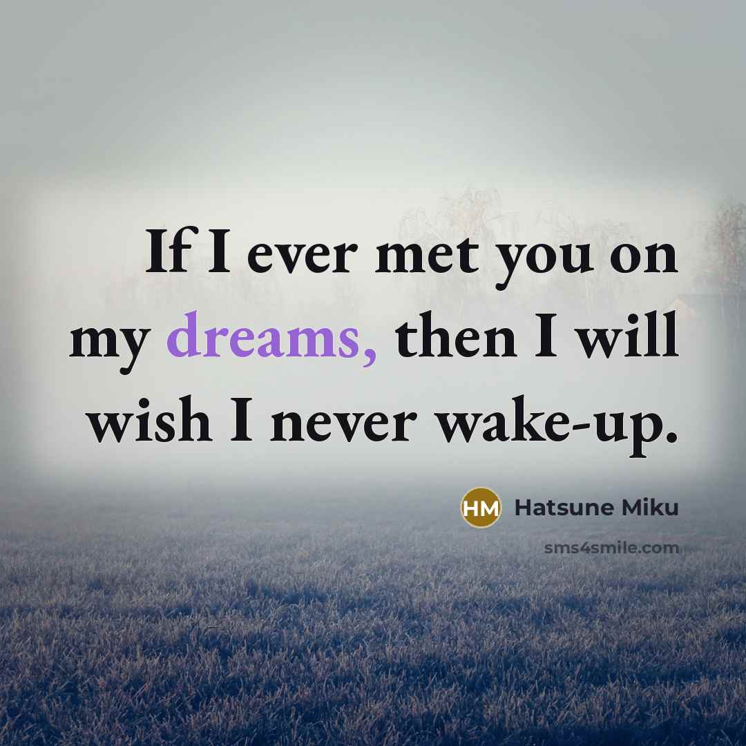 “If I ever met you on my dreams, then I will wish I never wake-up.” quote by Hatsune Miku