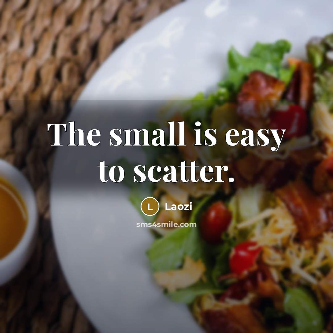 “The small is easy to scatter.…” quote by Laozi