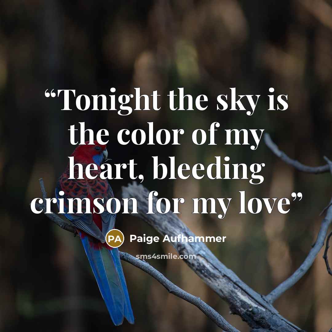 “Tonight the sky is the color of my heart, bleeding crimson for my love” quote by Paige Aufhammer
