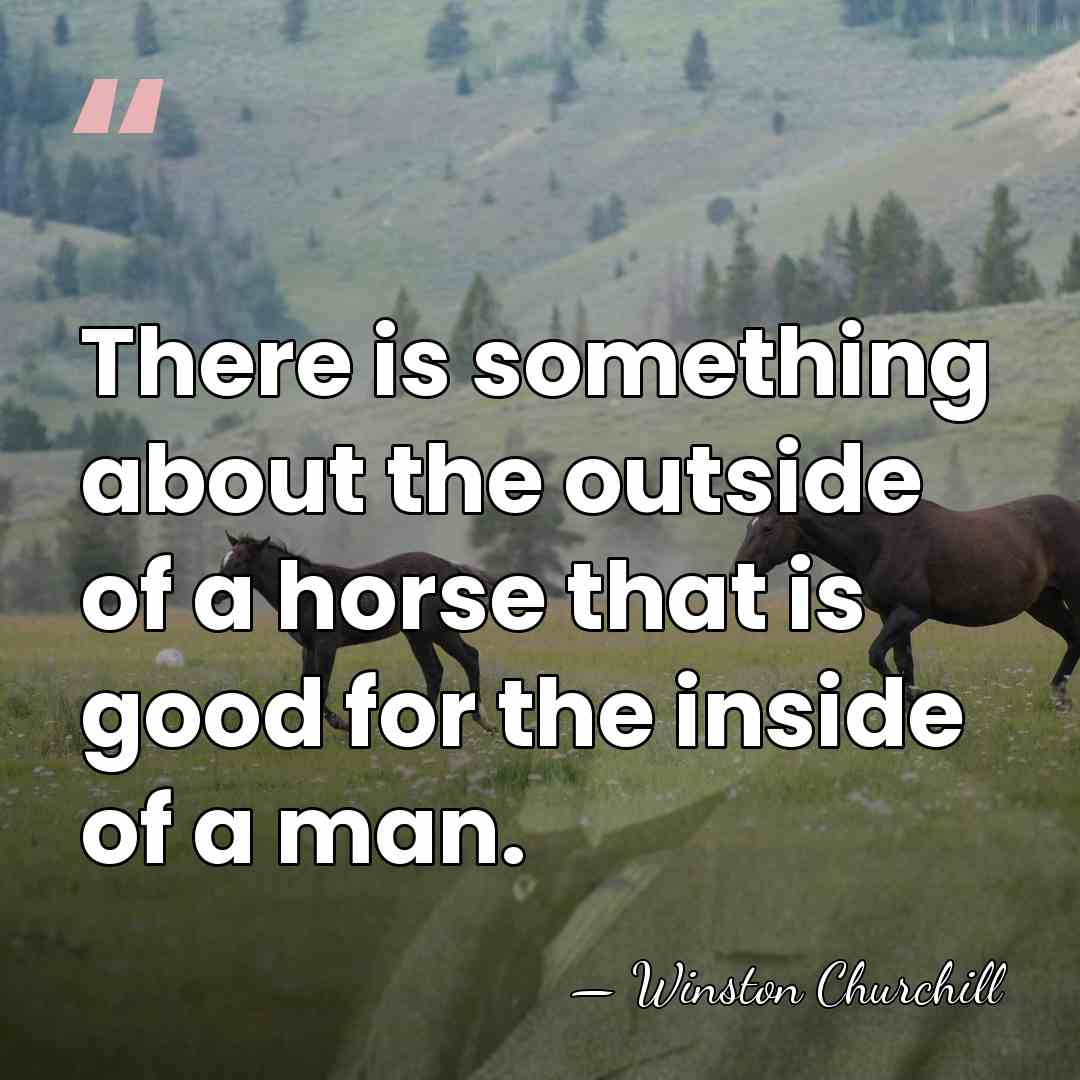 There is something about the outside of a horse that is good&hellip; - Winston Churchill