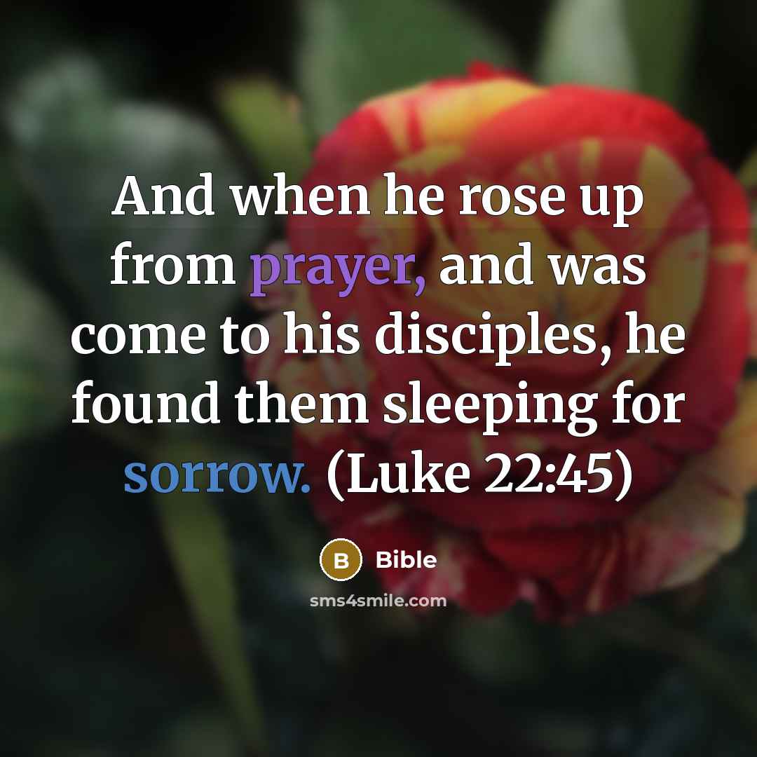 “And when he rose up from prayer, and was come…” quote by Bible
