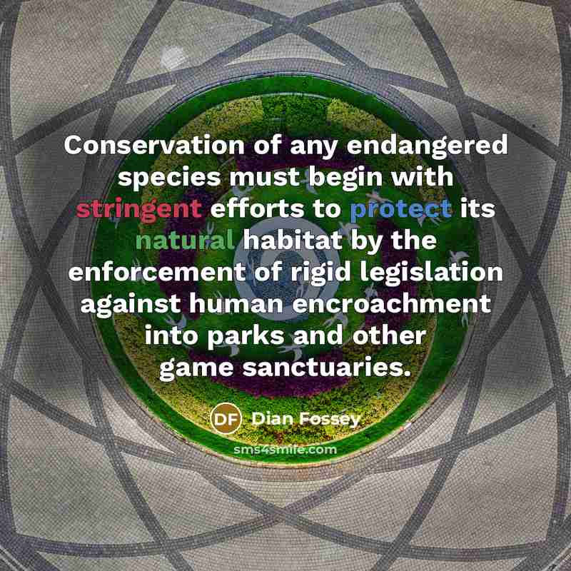 “Conservation of any endangered species must begin with stringent efforts…” quote by Dian Fossey