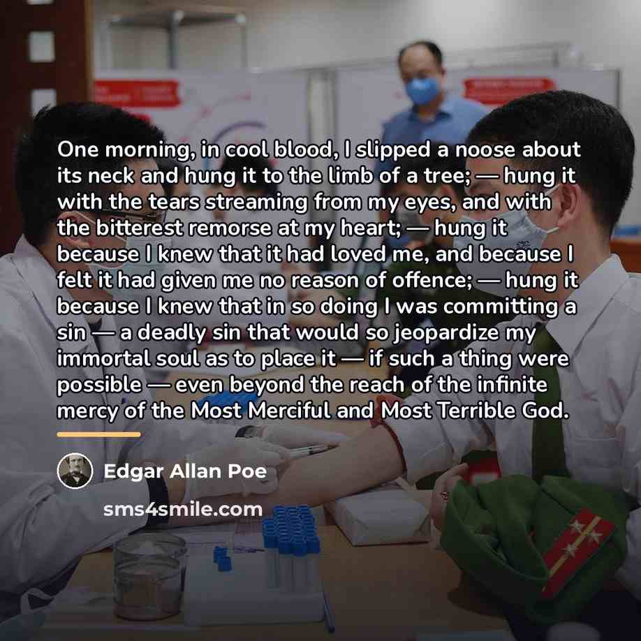 “One morning, in cool blood, I slipped a noose about…” quote by Edgar Allan Poe