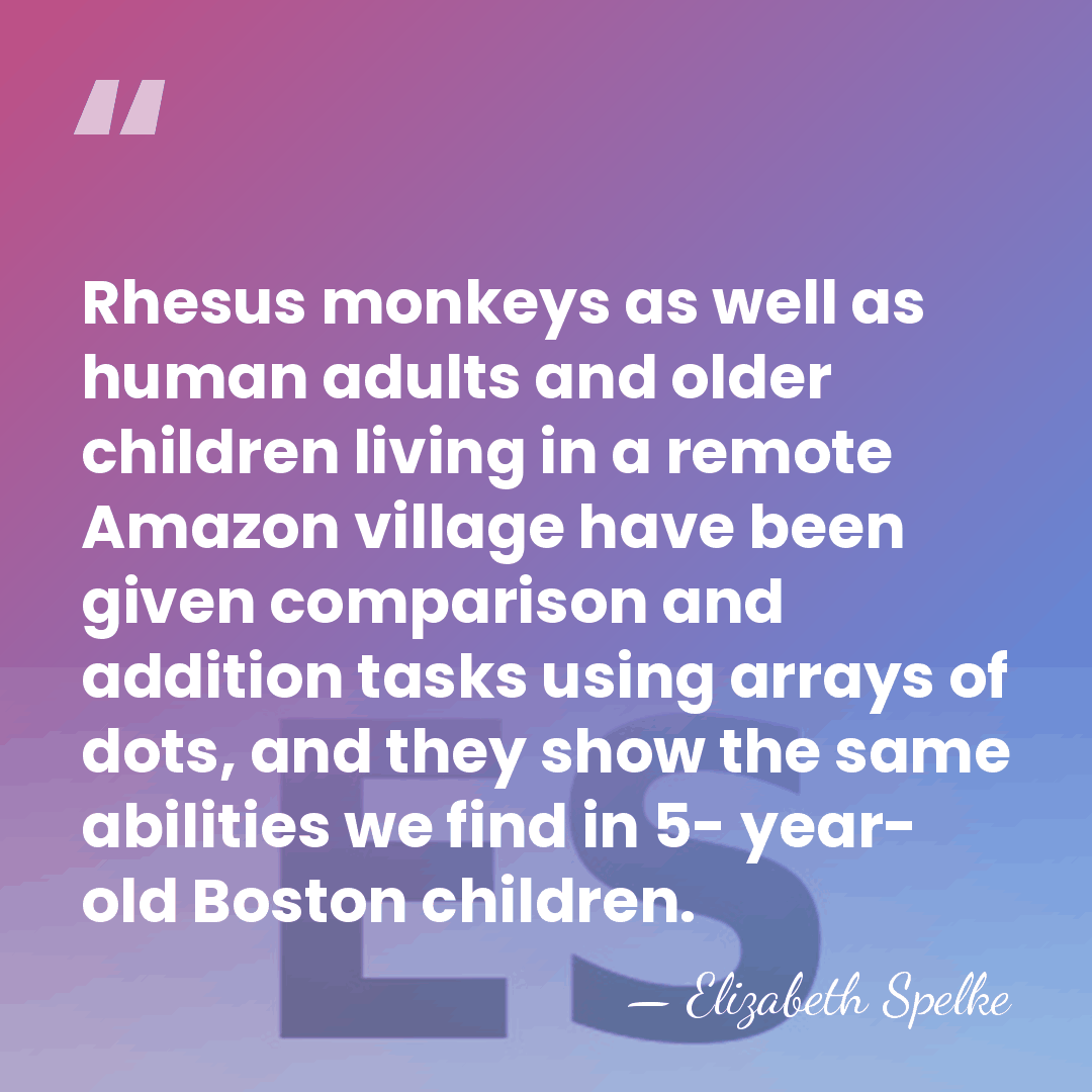 Rhesus monkeys as well as human adults and older children living in&hellip; - Elizabeth Spelke