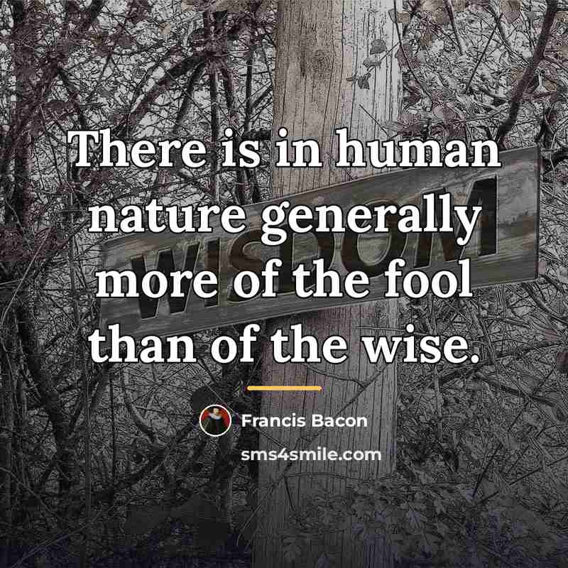 “There is in human nature generally more of the fool…” quote by Francis Bacon