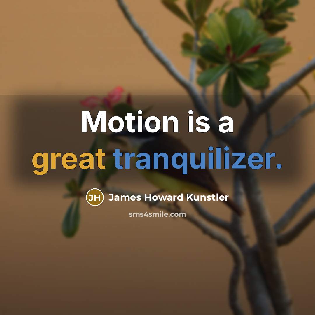 “Motion is a great tranquilizer.” quote by James Howard Kunstler