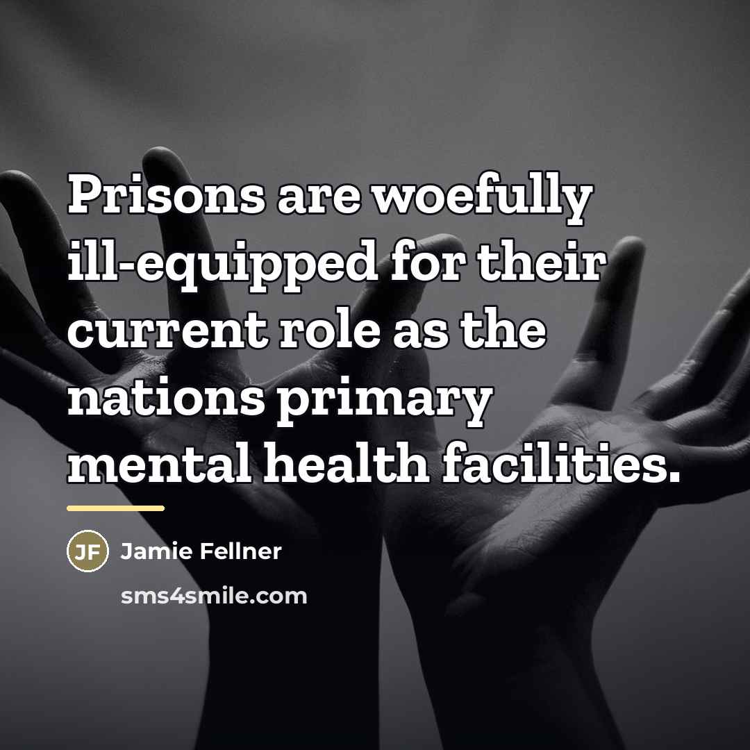 “Prisons are woefully ill-equipped for their current role as the…” quote by Jamie Fellner