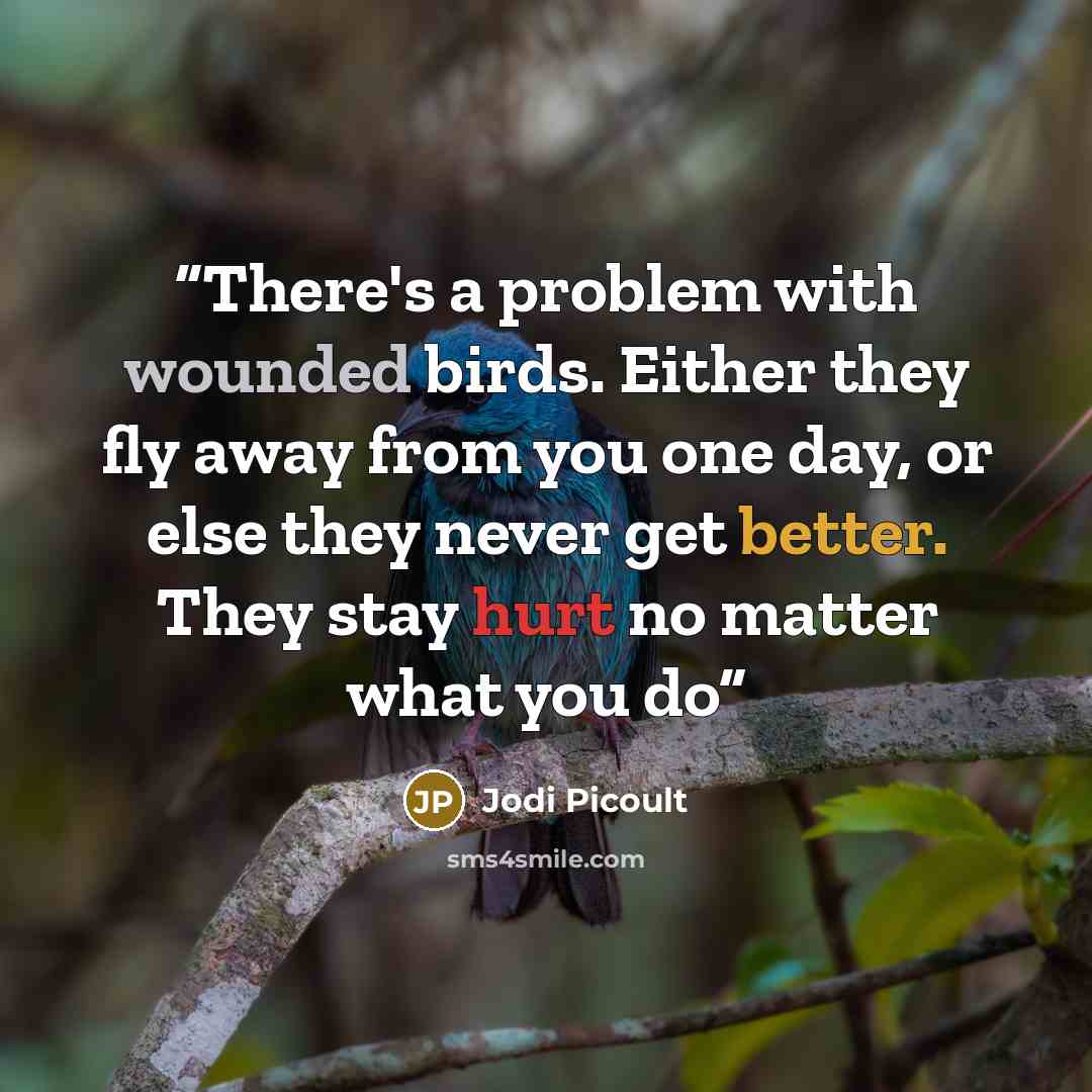 “There's a problem with wounded birds. Either they fly away from you one day, or else they never get better. They stay hurt no matter what you do” quote by Jodi Picoult