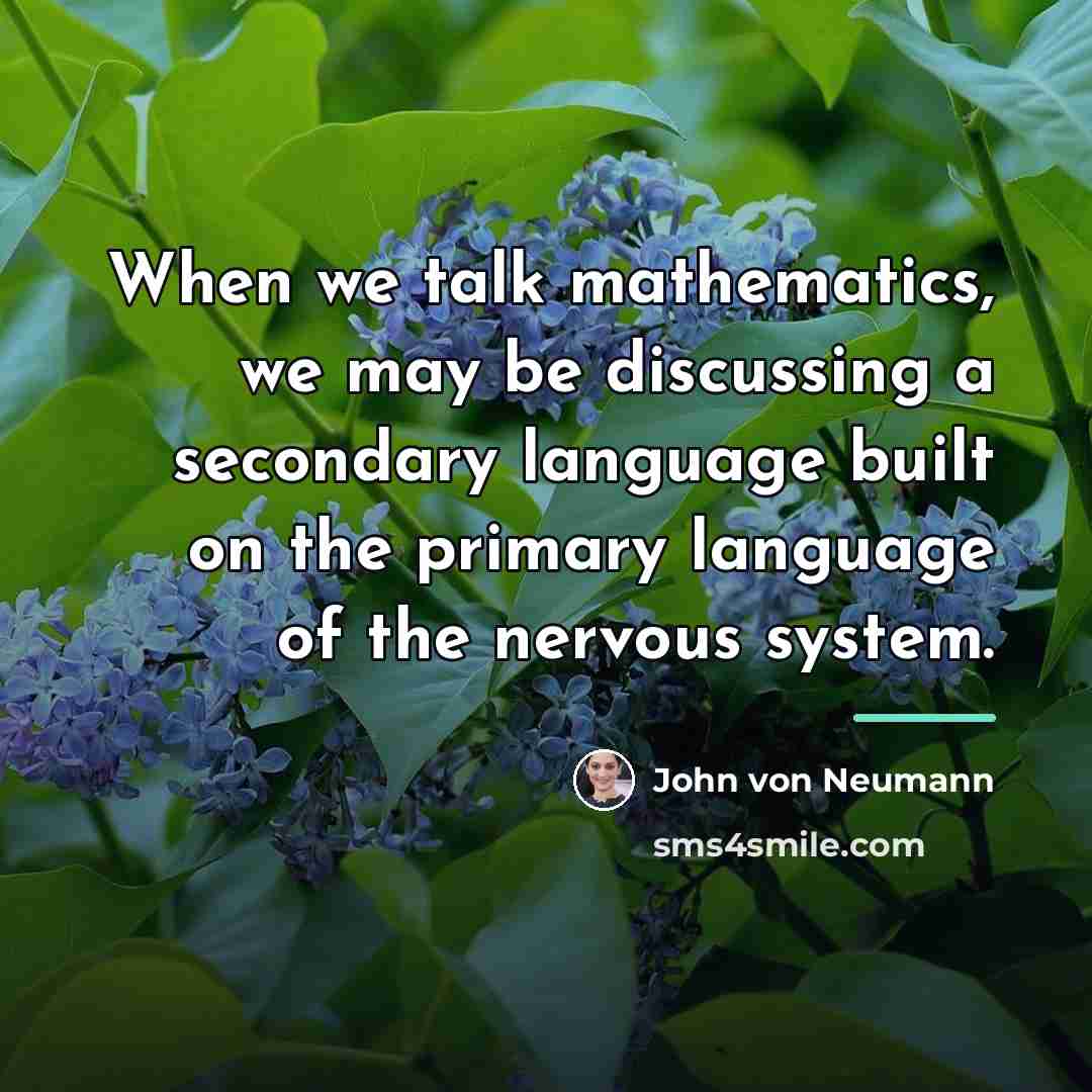 “When we talk mathematics, we may be discussing a secondary…” quote by John von Neumann