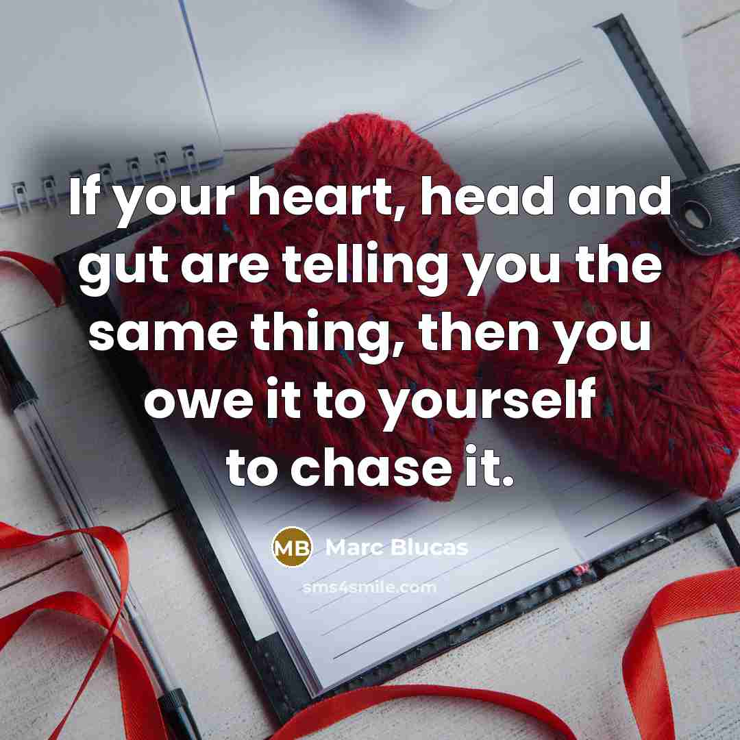 “If your heart, head and gut are telling you the same thing, then you owe it to yourself to chase it.” quote by Marc Blucas