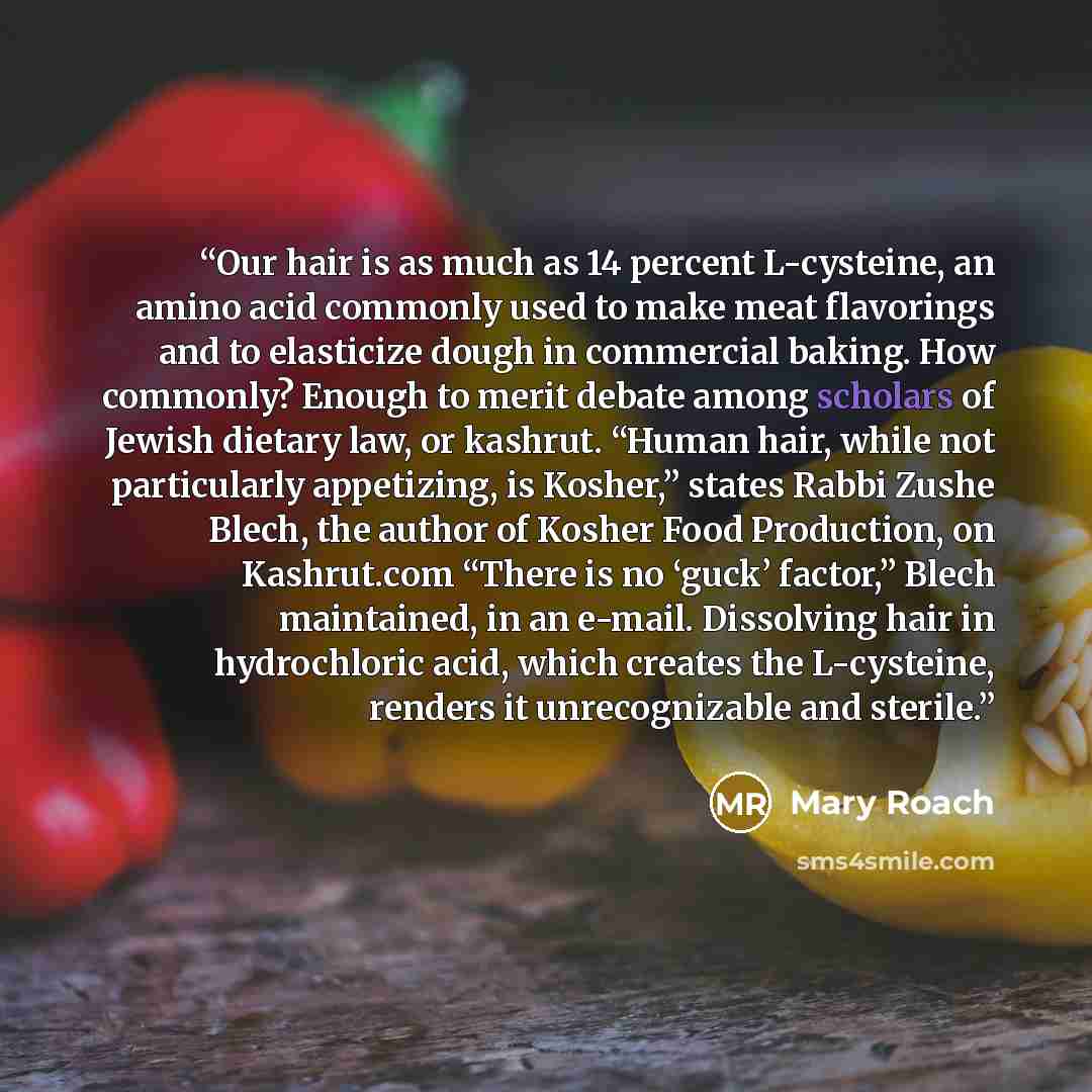 “Our hair is as much as 14 percent L-cysteine, an amino acid commonly used to make meat flavorings and to elasticize dough in commercial baking. How commonly? Enough to merit debate among scholars of Jewish dietary law, or kashrut. “Human hair, while not particularly appetizing, is Kosher,” states…” quote by Mary Roach