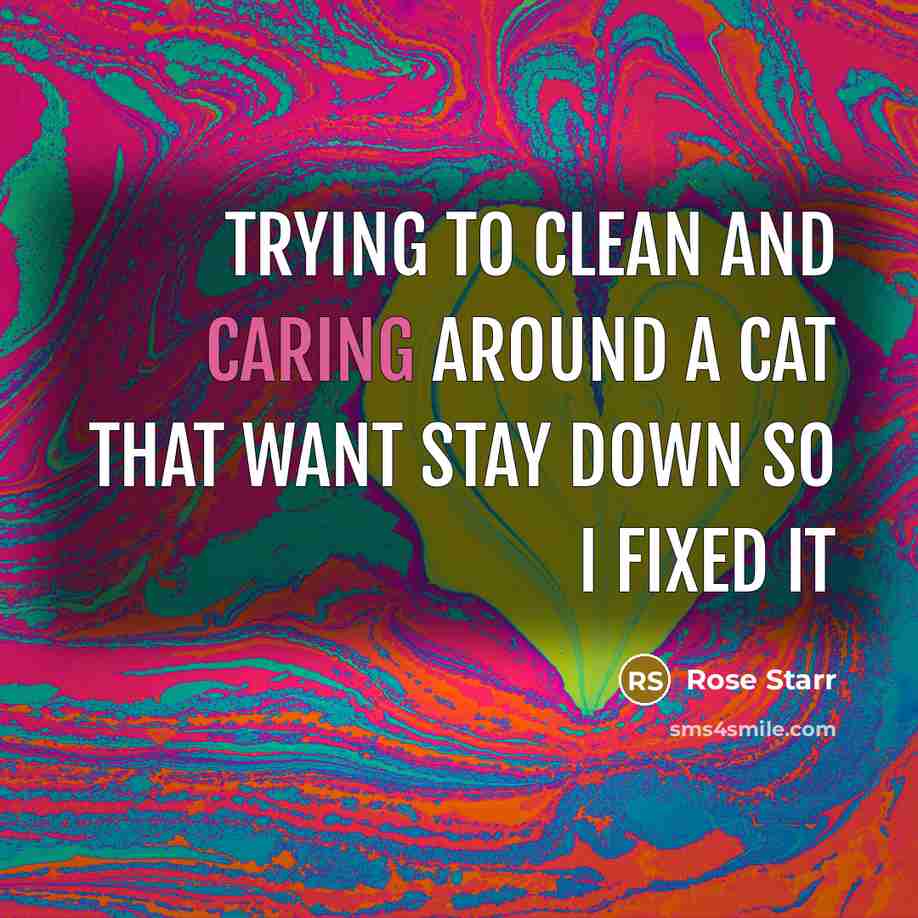 “Trying to clean and caring around a cat that want…” quote by Rose Starr