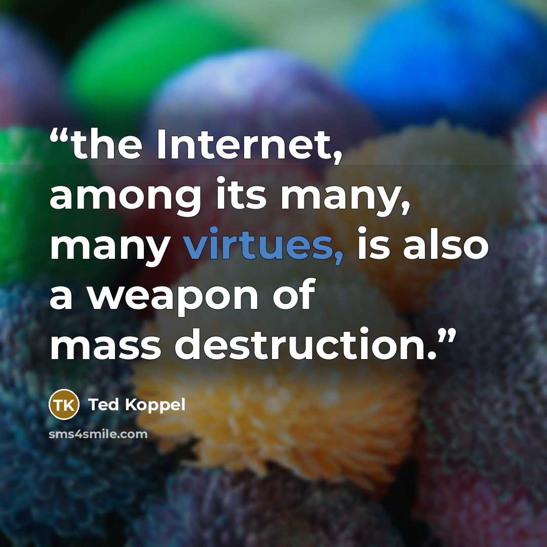 “the Internet, among its many, many virtues, is also a weapon of mass destruction.” quote by Ted Koppel