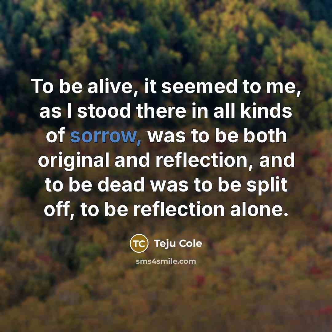“To be alive, it seemed to me, as I stood…” quote by Teju Cole