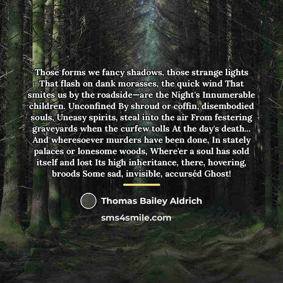 “Those forms we fancy shadows, those strange lights That flash…” quote by Thomas Bailey Aldrich