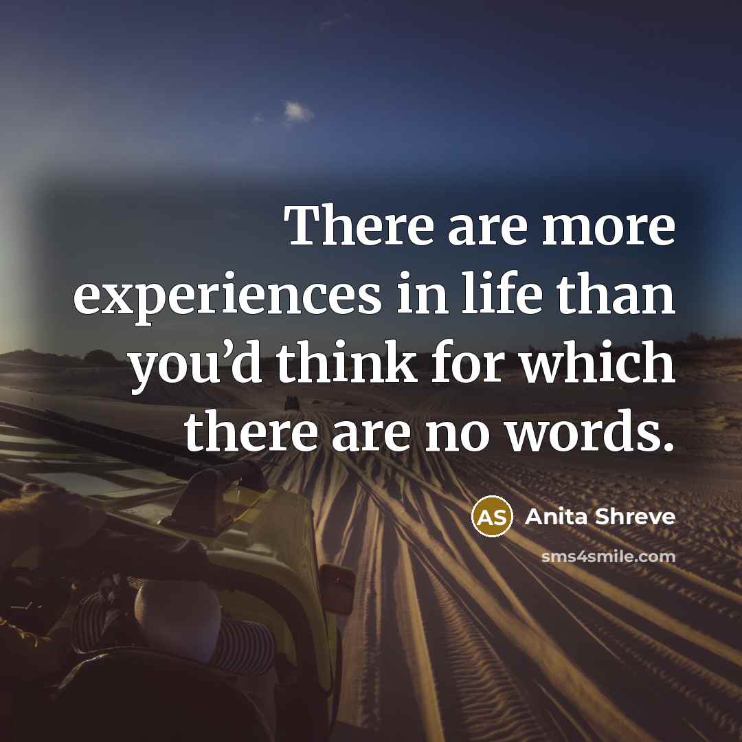 “There are more experiences in life than you’d think for which there are no words.” quote by Anita Shreve