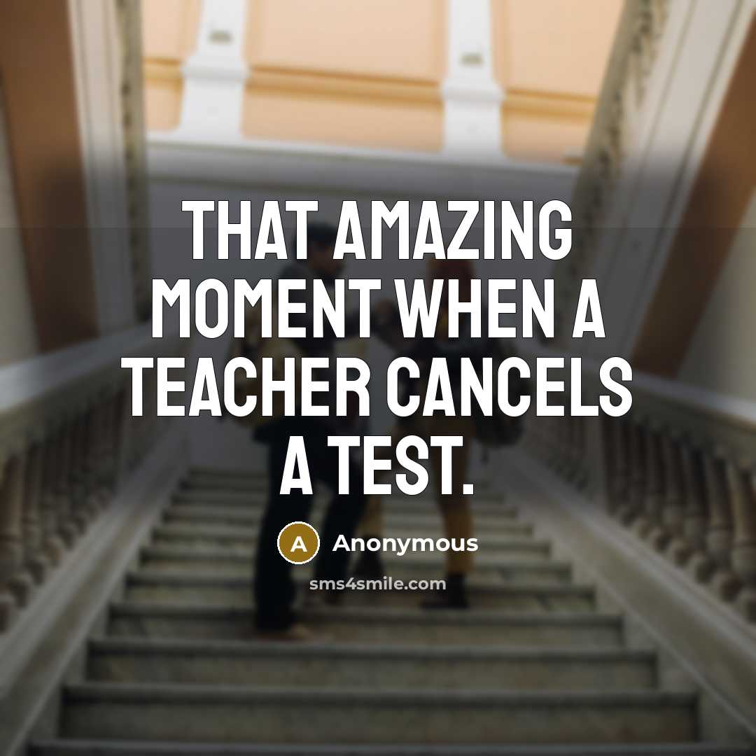 “That amazing moment when a teacher cancels a test.” quote by Anonymous