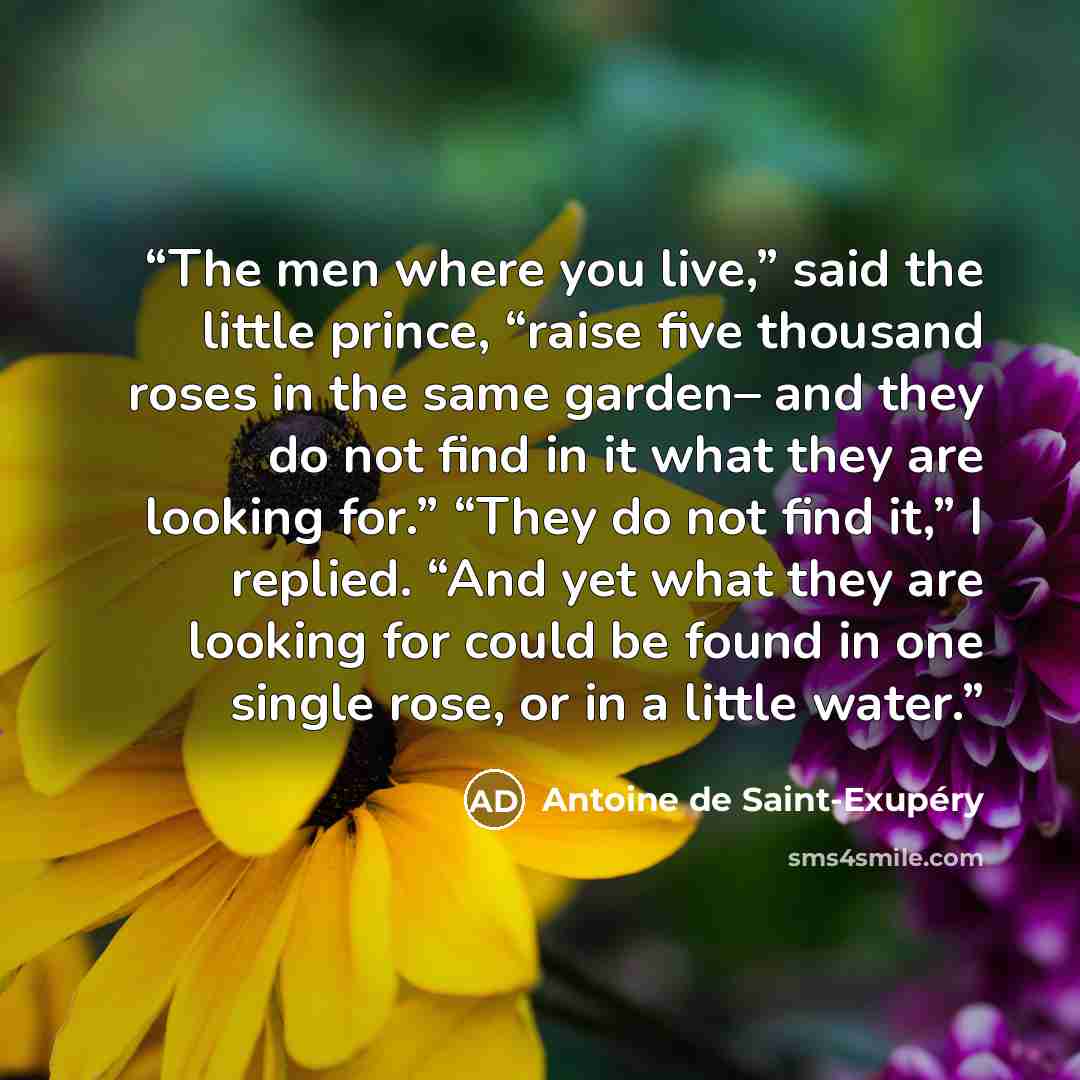 “The men where you live,” said the little prince, “raise five thousand roses in the same garden– and they do not find in it what they are looking for.” “They do not find it,” I replied. “And yet what they are looking for could be found in one single rose, or in a little water.” quote by Antoine de Saint-Exupéry