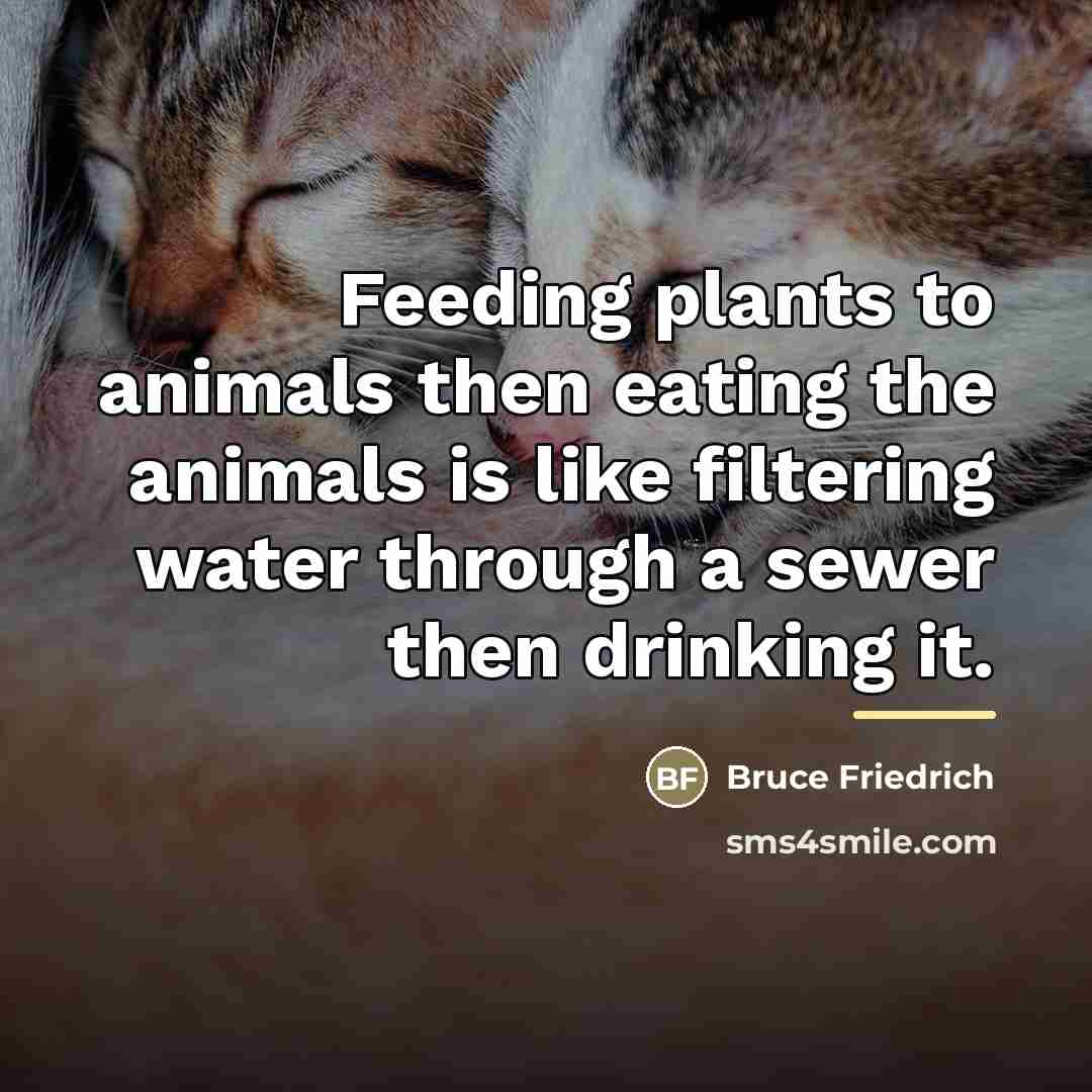 “Feeding plants to animals then eating the animals is like…” quote by Bruce Friedrich