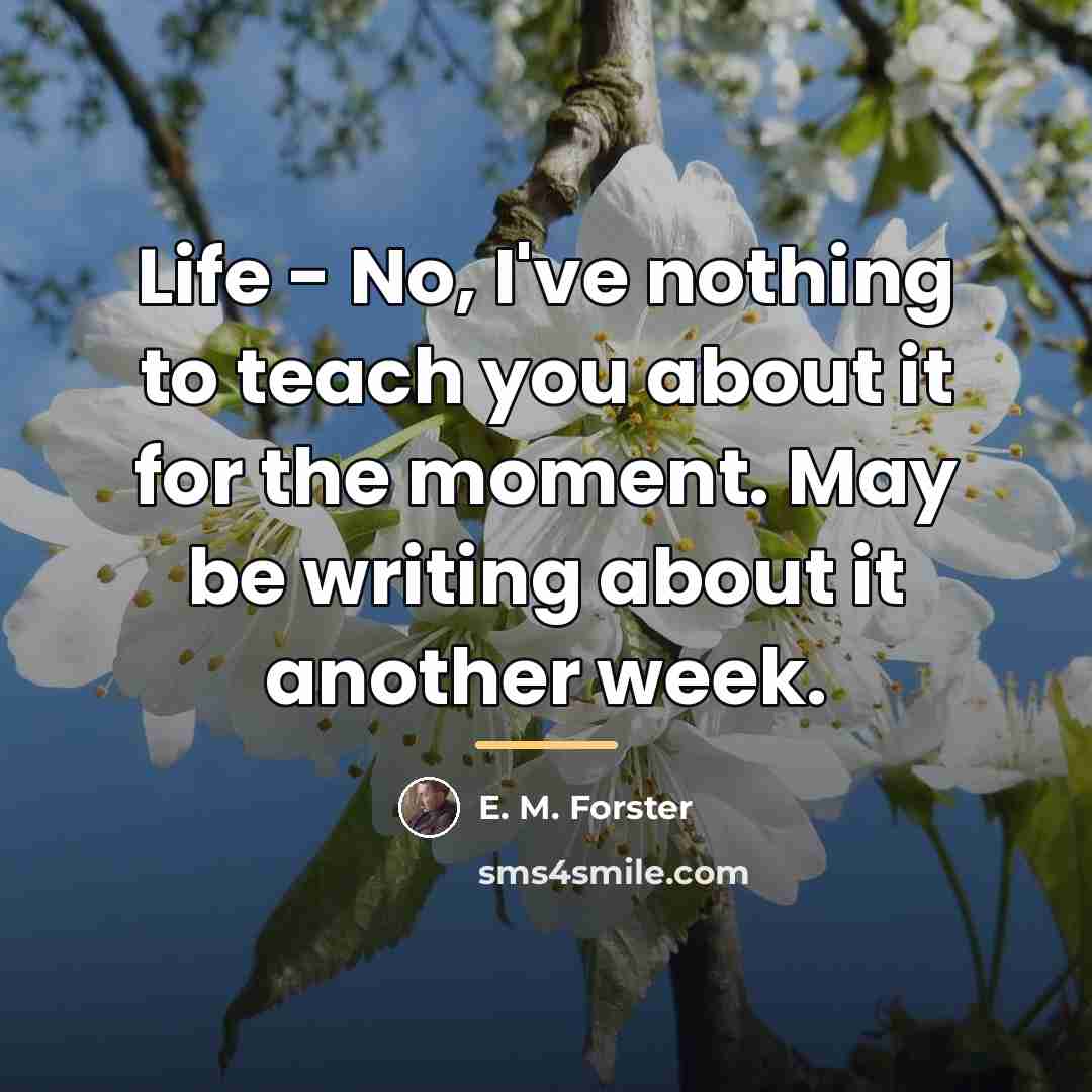 “Life - No, I've nothing to teach you about it…” quote by E. M. Forster