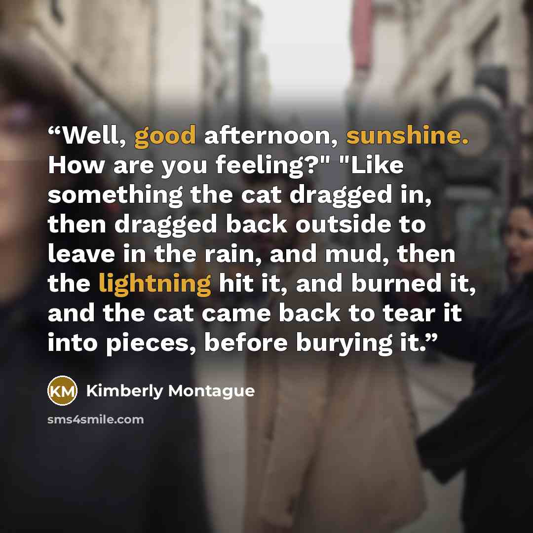 “Well, good afternoon, sunshine. How are you feeling?" "Like something the cat dragged in, then dragged back outside to leave in the rain, and mud, then the lightning hit it, and burned it, and the cat came back to tear it into pieces, before burying it.” quote by Kimberly Montague