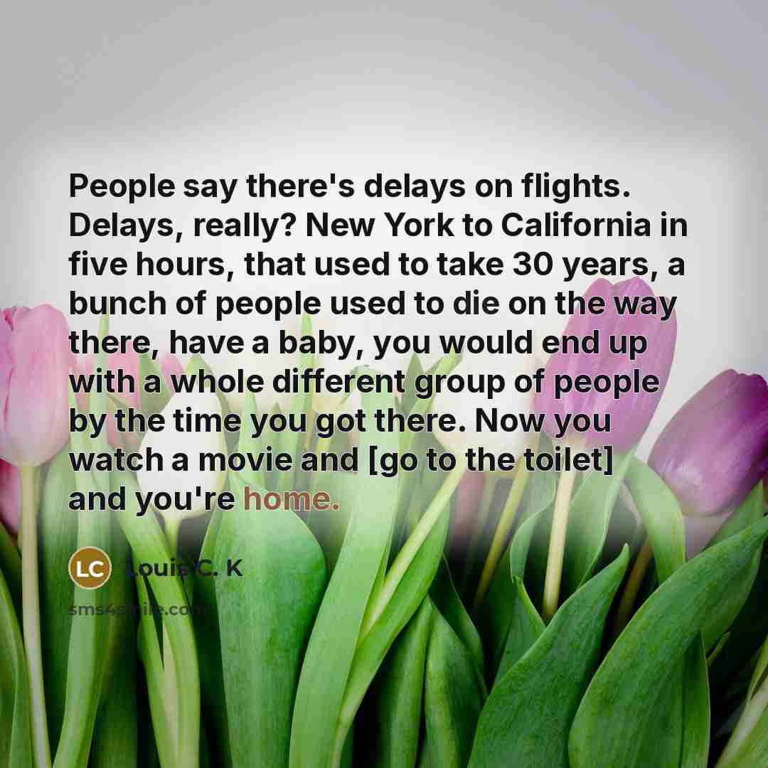 “People say there's delays on flights. Delays, really? New York…” quote by Louis C. K
