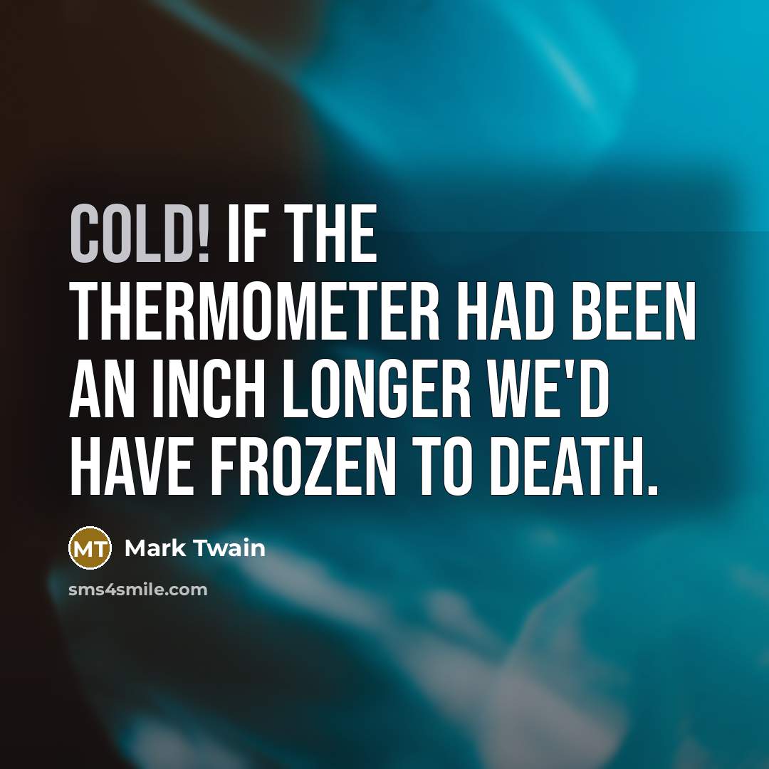 “Cold! If the thermometer had been an inch longer we'd…” quote by Mark Twain
