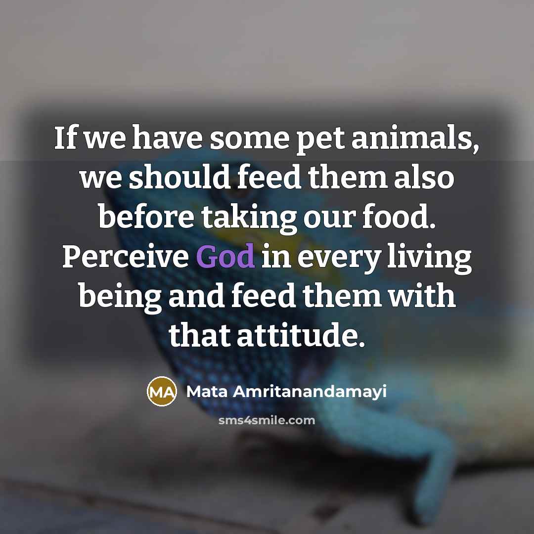 “If we have some pet animals, we should feed them…” quote by Mata Amritanandamayi