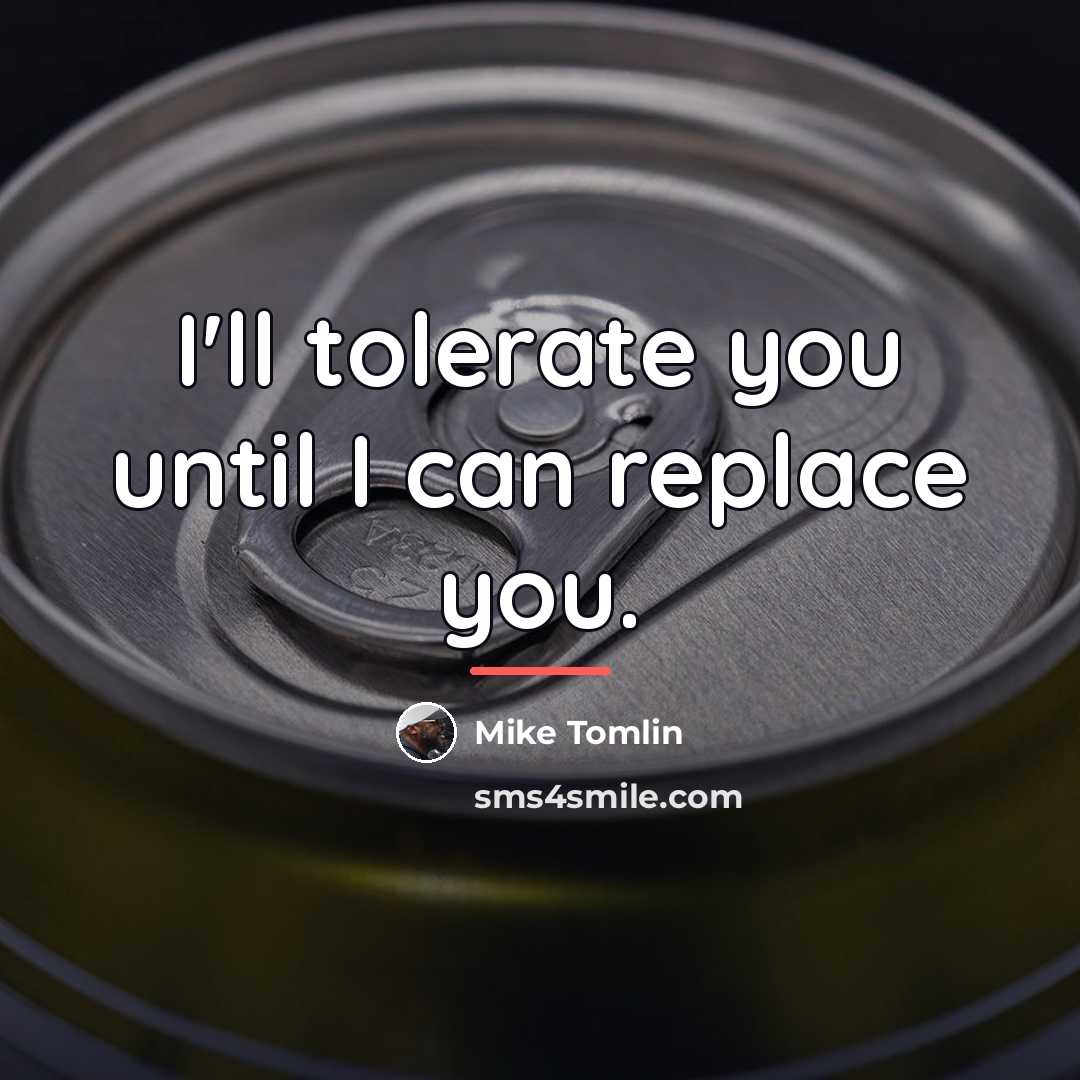 “I'll tolerate you until I can replace you.…” quote by Mike Tomlin