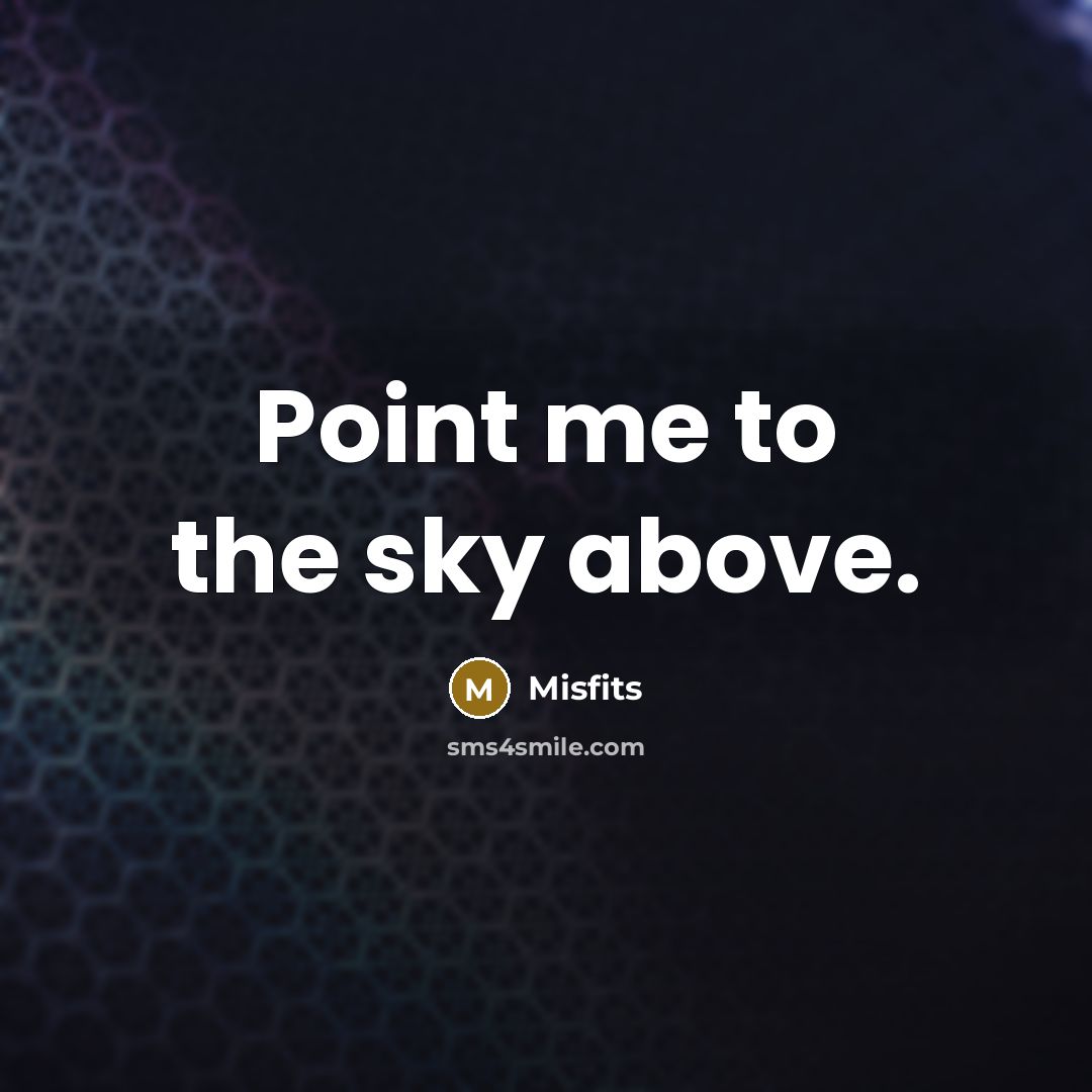 “Point me to the sky above.…” quote by Misfits