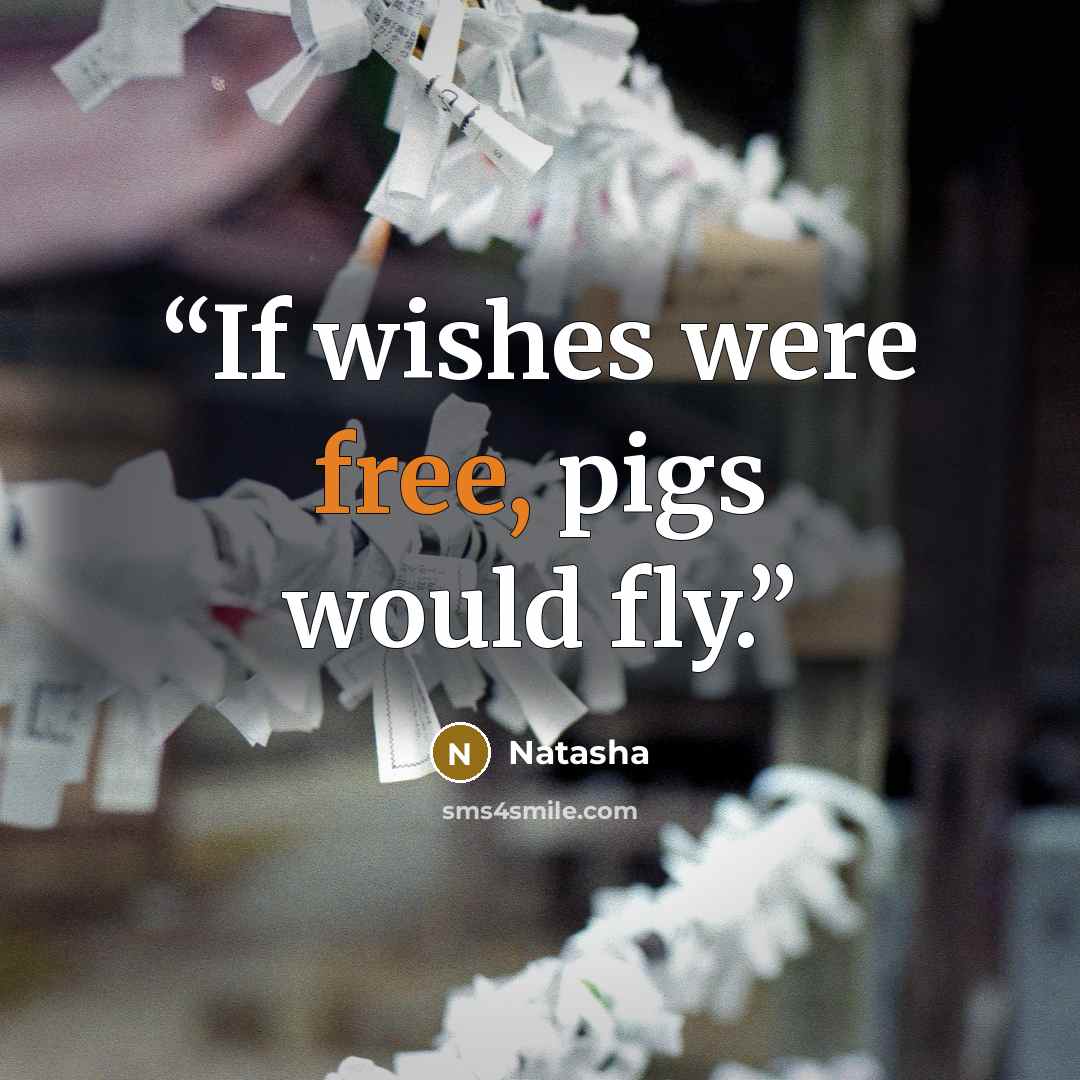 “If wishes were free, pigs would fly.” quote by Natasha