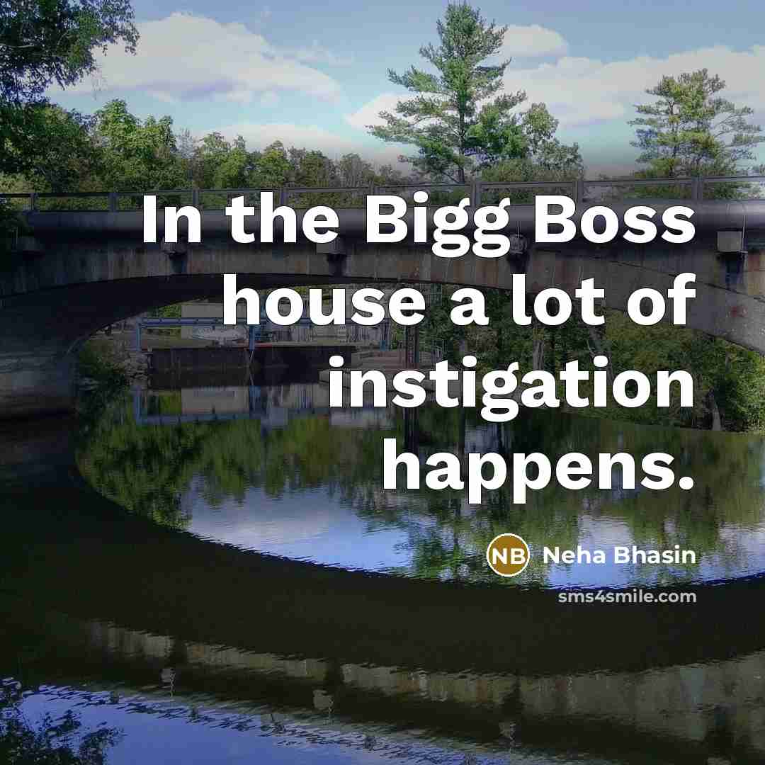 “In the Bigg Boss house a lot of instigation happens.…” quote by Neha Bhasin