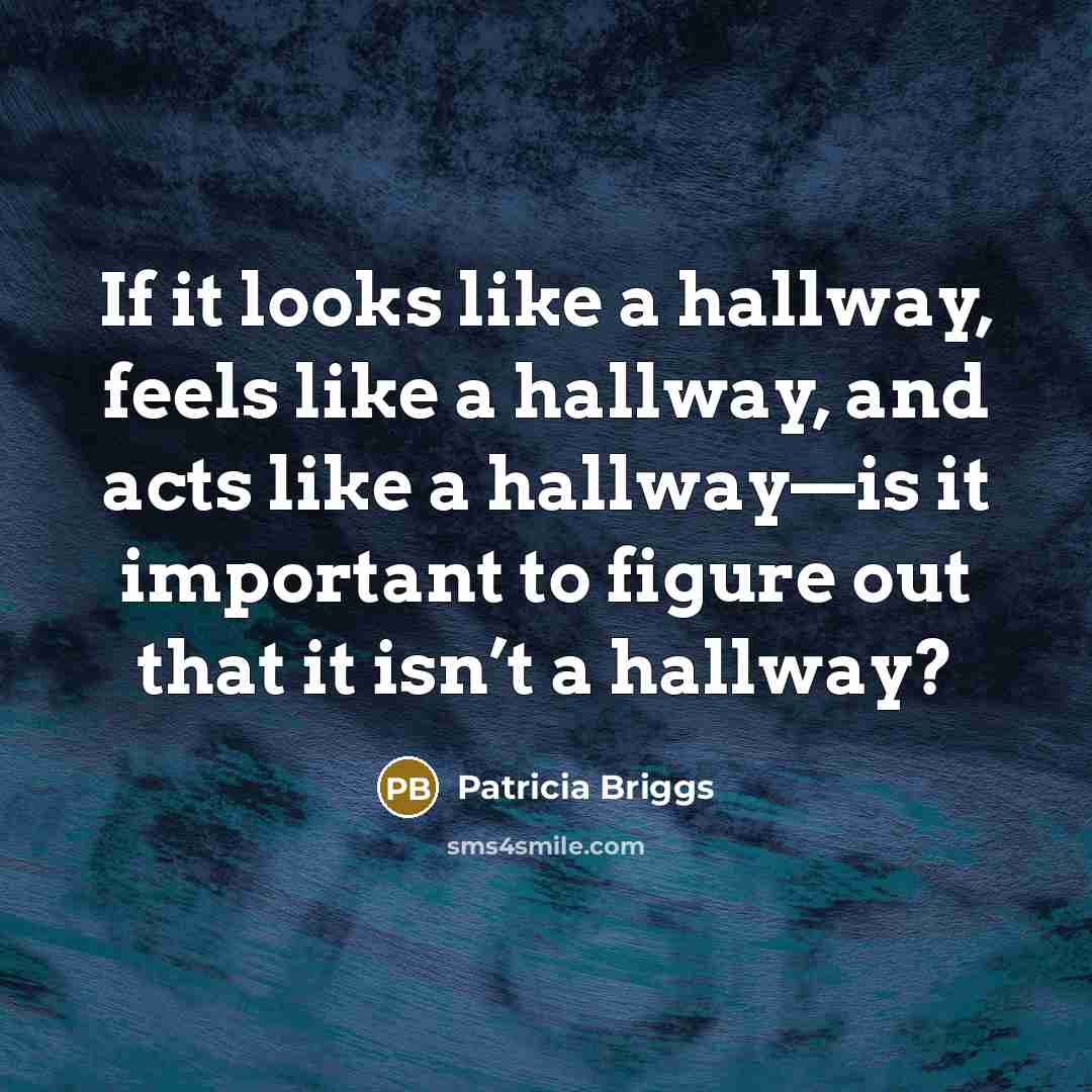 “If it looks like a hallway, feels like a hallway,…” quote by Patricia Briggs