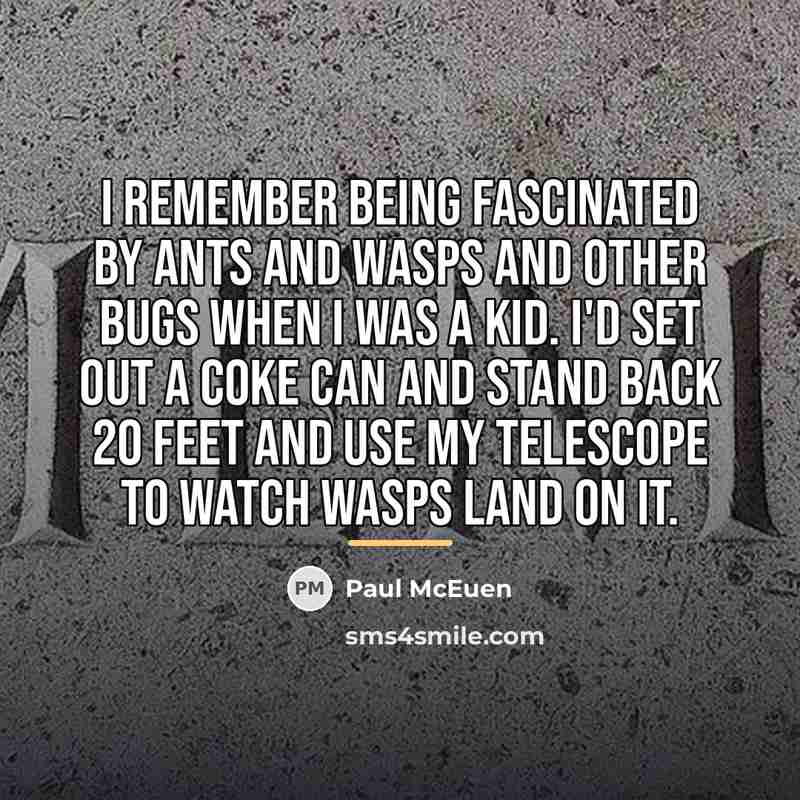 “I remember being fascinated by ants and wasps and other…” quote by Paul McEuen