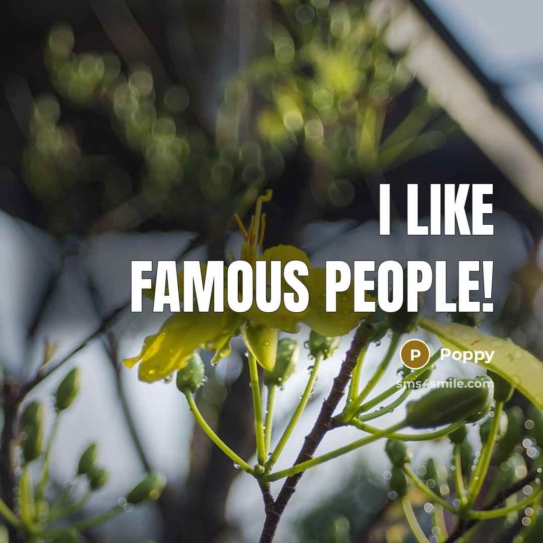 “I like famous people!…” quote by Poppy