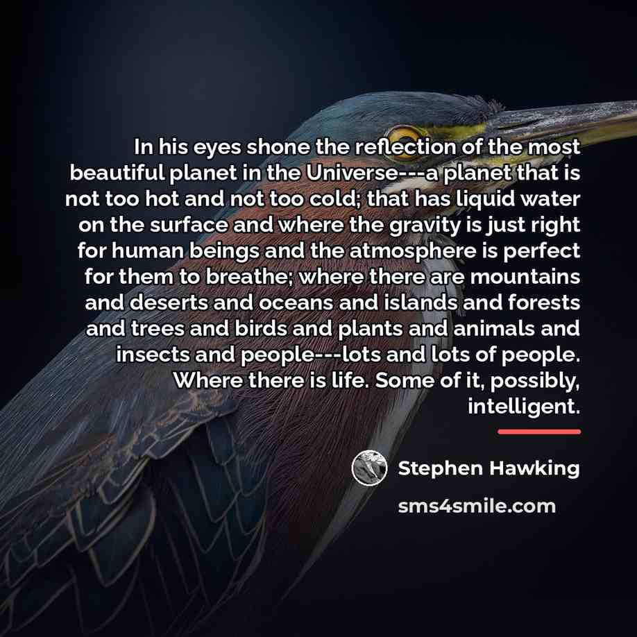 “In his eyes shone the reflection of the most beautiful…” quote by Stephen Hawking