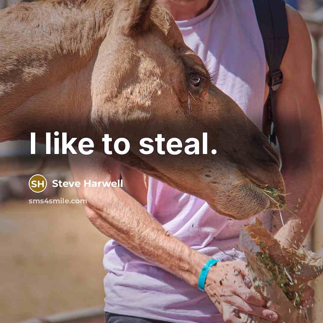 “I like to steal.…” quote by Steve Harwell