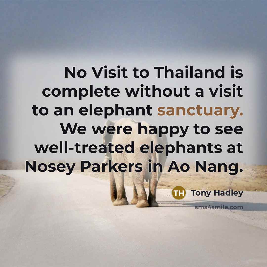 “No Visit to Thailand is complete without a visit to…” quote by Tony Hadley