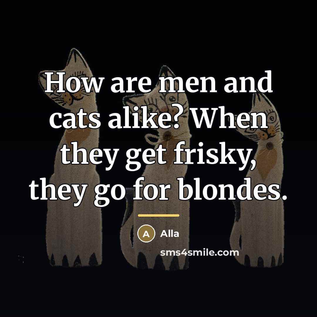 “How are men and cats alike? When they get frisky,…” quote by Alla