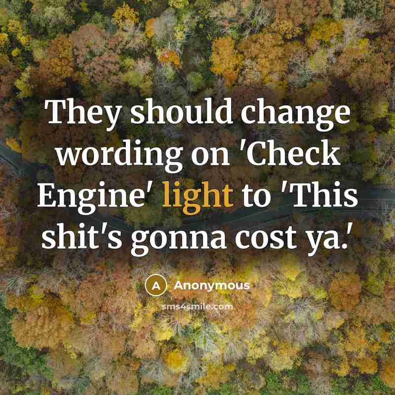 “They should change wording on 'Check Engine' light to 'This shit's gonna cost ya.'” quote by Anonymous