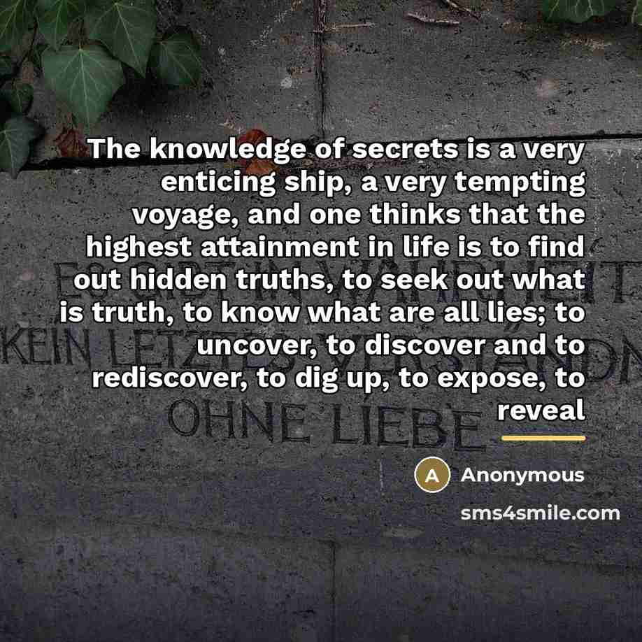 “The knowledge of secrets is a very enticing ship, a…” quote by Anonymous