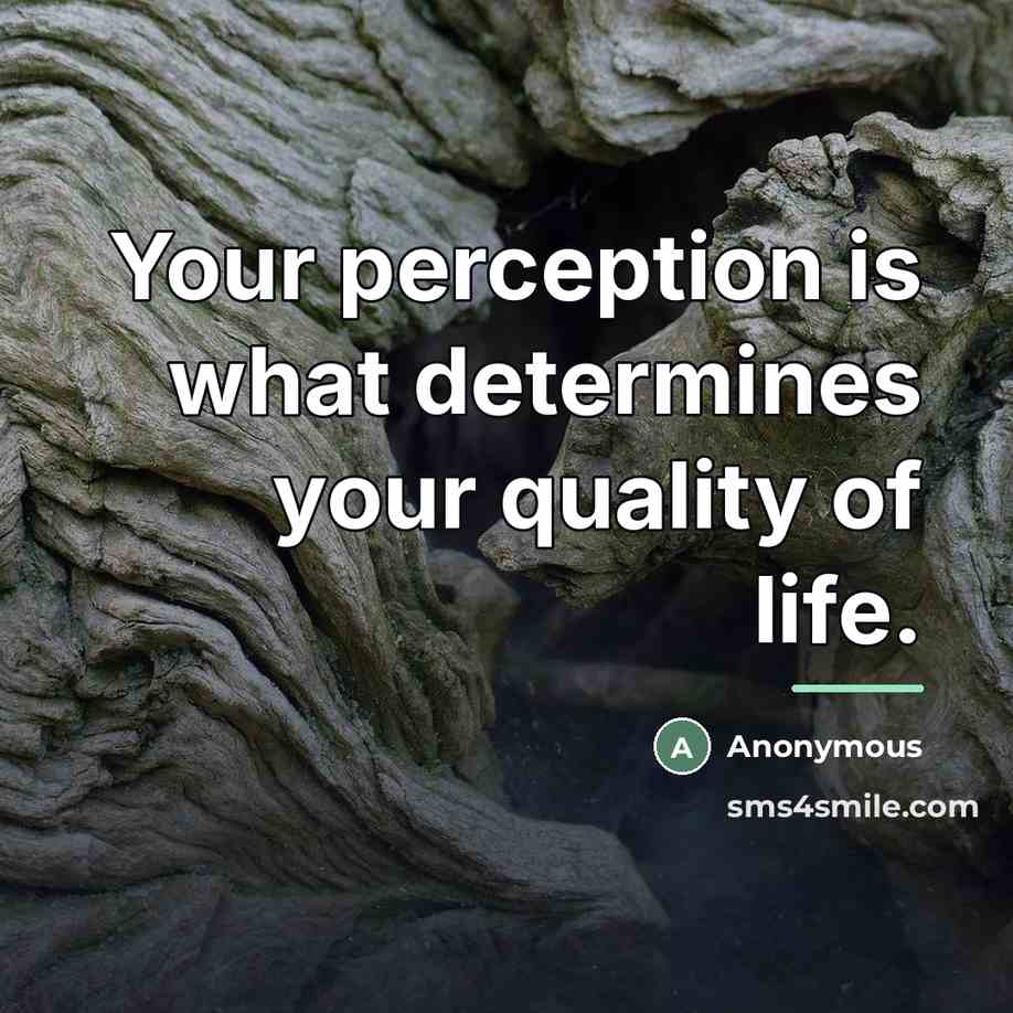 “Your perception is what determines your quality of life.…” quote by Anonymous