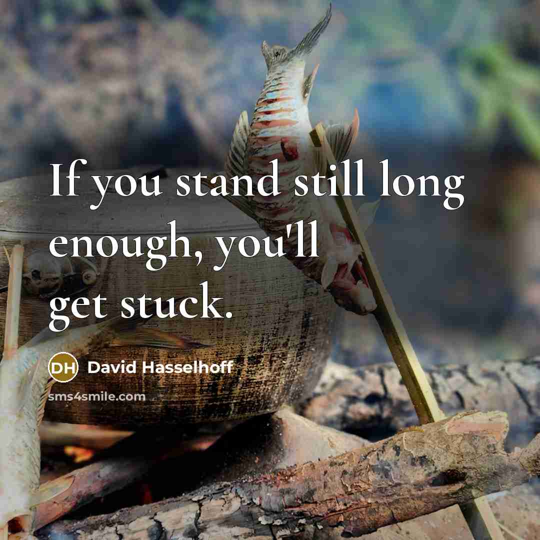 “If you stand still long enough, you'll get stuck.…” quote by David Hasselhoff