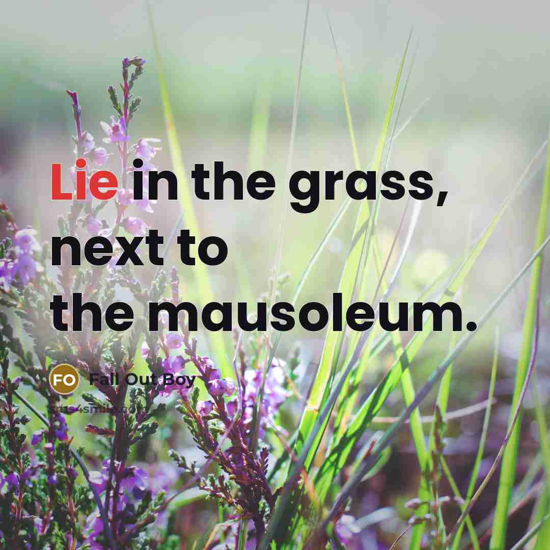 “Lie in the grass, next to the mausoleum.…” quote by Fall Out Boy