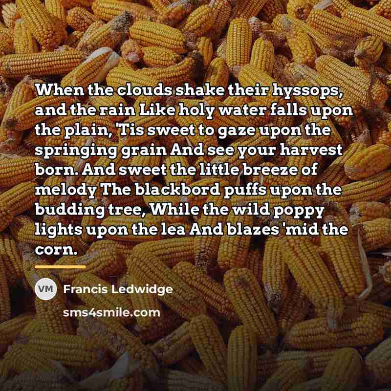 “When the clouds shake their hyssops, and the rain Like…” quote by Francis Ledwidge