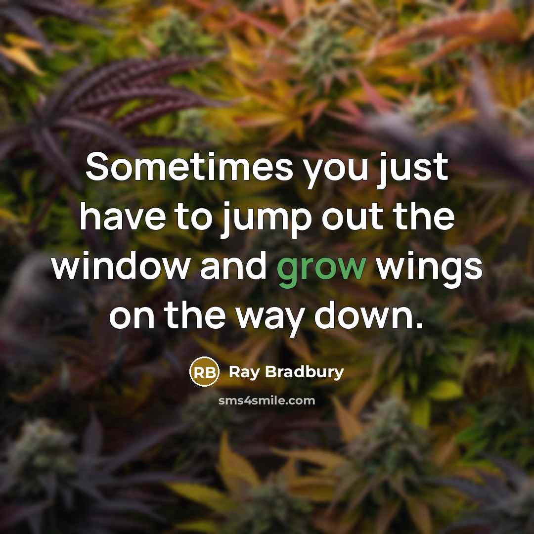 “Sometimes you just have to jump out the window and grow wings on the way down.” quote by Ray Bradbury
